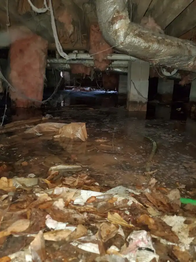 Crawl space flood assessment for Leak Detection & Repair in Fallsburg
