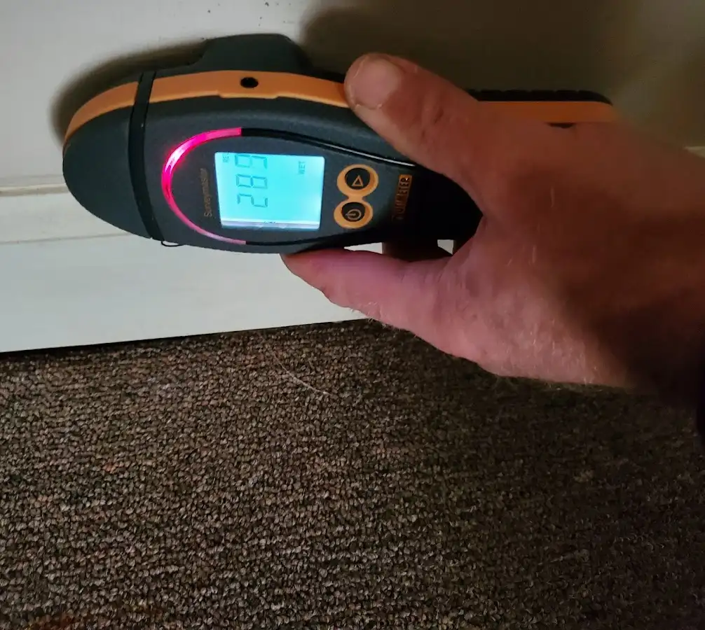 Moisture detection at baseboard during Storm Damage Restoration in Fallsburg